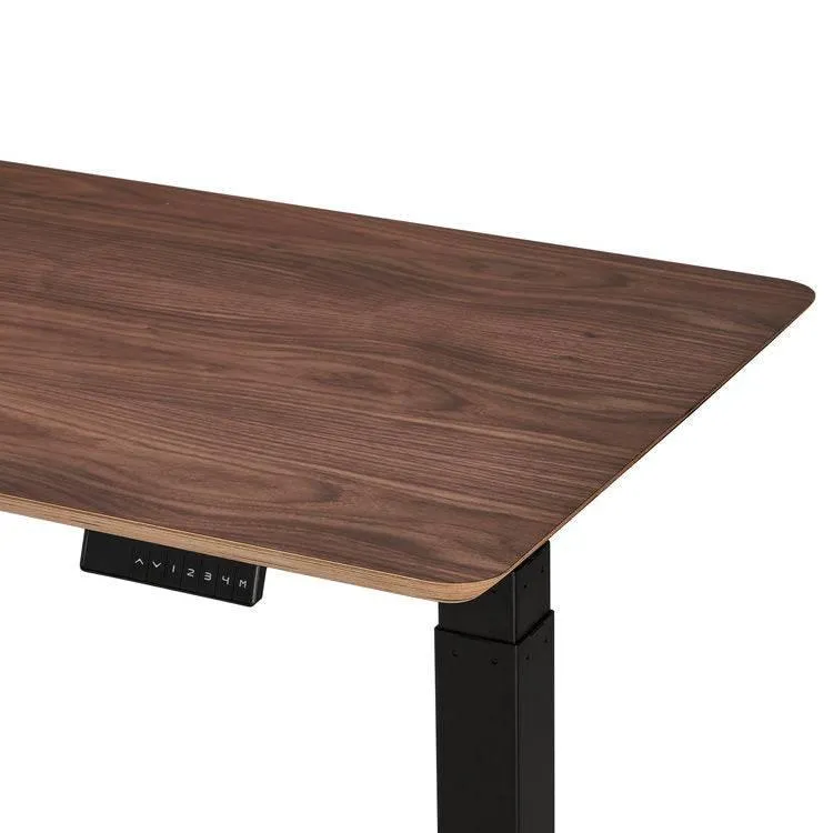Standing Desk - Wood Veneer